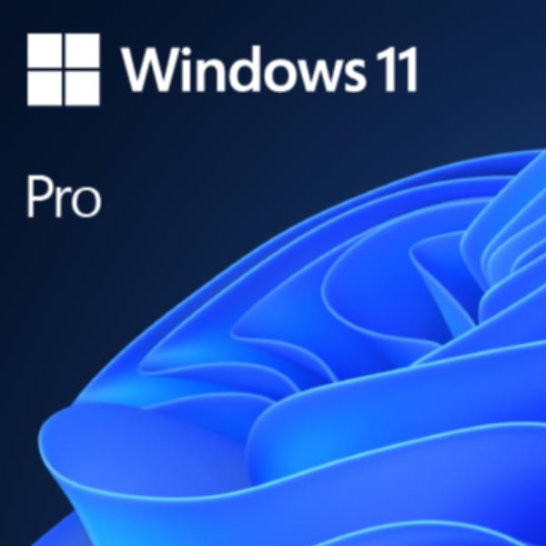 WINDOWS PRO 11 32 64 BIT ALLL USB